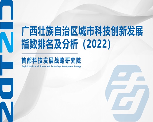 鸡巴插逼网站【成果发布】广西壮族自治区城市科技创新发展指数排名及分析（2022）